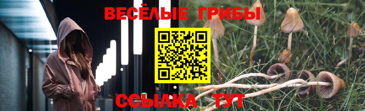Псилоцибиновые грибы мухоморы  Вход с VPN  Галлюциногенные грибы ЛСД  Шахты 