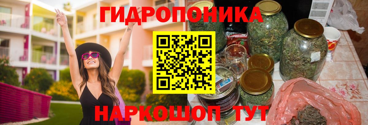 Канабис MAZAR  Вход с VPN  Бошки марихуана Bruce Banner  Марихуана конопля  Марихуана OG Kush  Шахты 
