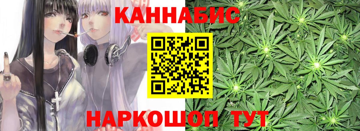 Каннабис конопля Шахты